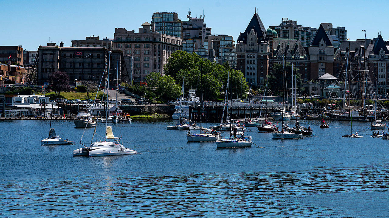 Port Townsends Russell Brown, in his Gougeon 32 catamaran, leads the fleet at the start of the Race to Alaskas second leg Sunday in Victoria. At the stroke of noon, a bell was sounded and the sailors raced to their boats to row out of Victorias Inner Harbour to the breakwater where they could hoist sails to continue the 710 miles to Ketchikan, Alaska The race started in Port Townsend on Thursday at 5 a.m. Brown was also the quickest across the Strait of Juan de Fuca to Victoria. (Steve Mullensky/for Peninsula Daily News)