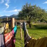 Clothes hang on the line to dry after being washed with homemade laundry soap. (Betsy Wharton/for Peninsula Daily News)