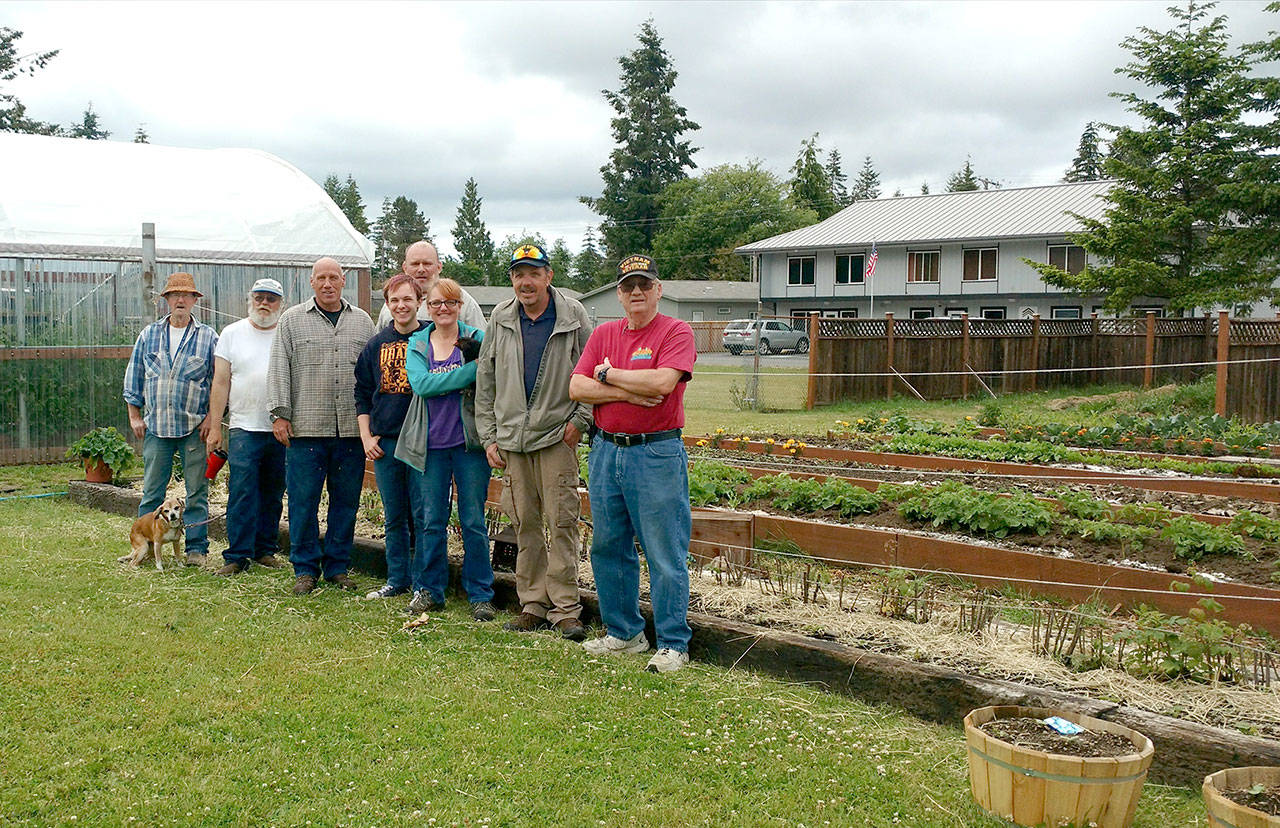 A work crew from Sarges Farmstand takes a break from various tasks. The workers are, from left, Bob Ball, Jay Baker holding the leash of Kindelle, David Durnford, Steve Boutelle, William Fleck, Cheri Tinker holding hen Tina, Steve Elmelund and Paul Hampton. Jennifer Pelikan, the chicken whisperer and case manager for Sarges Place, was away for the moment. (Zorina Barker/for Peninsula Daily News)