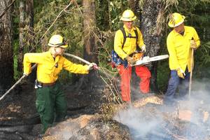 Wildfire put out on Department of Natural Resources land west of Port Angeles