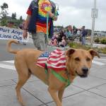 Eric Bjork walks with his dog Gordon with a parade entry from the Port Angeles Lions Club. (Keith Thorpe/Peninsula Daily News)