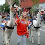 Ameris Hagen, 12, is flanked by llamas Diffn, left, and Fluente during Wednesdays parade in Port Angeles. (Keith Thorpe/Peninsula Daily News)