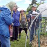 WSU Extension Master Gardeners will host an informative walk around the Fifth Street Community Garden on Saturday. (WSU Master Gardeners)