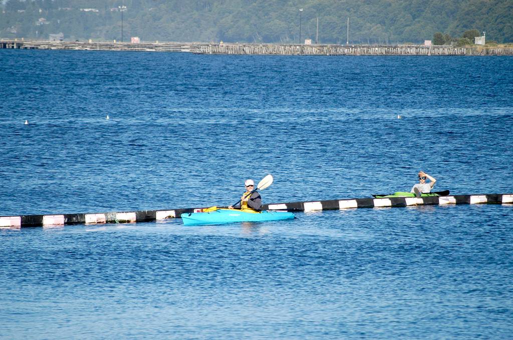Volunteer kayakers were busy all evening collecting dozens of balls hit into Port Angeles Harbor. (Pierre LaBossiere/Peninsula Daily News)