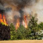 Trees burn near a home Tuesday in Spokane. (Colin Mulvany/The Spokesman-Review via AP)