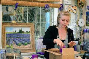 Sweet-smelling purple fields draw visitors to Peninsula