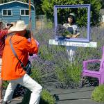Jen Liu, left, poses in a picture frame with a bundled of lavender as family members Mike Liu, 12, and Licai Liu, all of Silverdale, take photos at Melis Lavender near Sequim on Saturday. (Keith Thorpe/Peninsula Daily News)