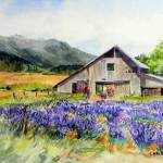 Lavender Barn with an Olympic Mountain View by Carol Janda will be on display at Blue Whole Gallery in Sequim tonight.