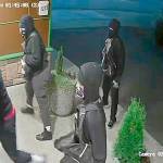 Port Angeles police seek four in burglaries