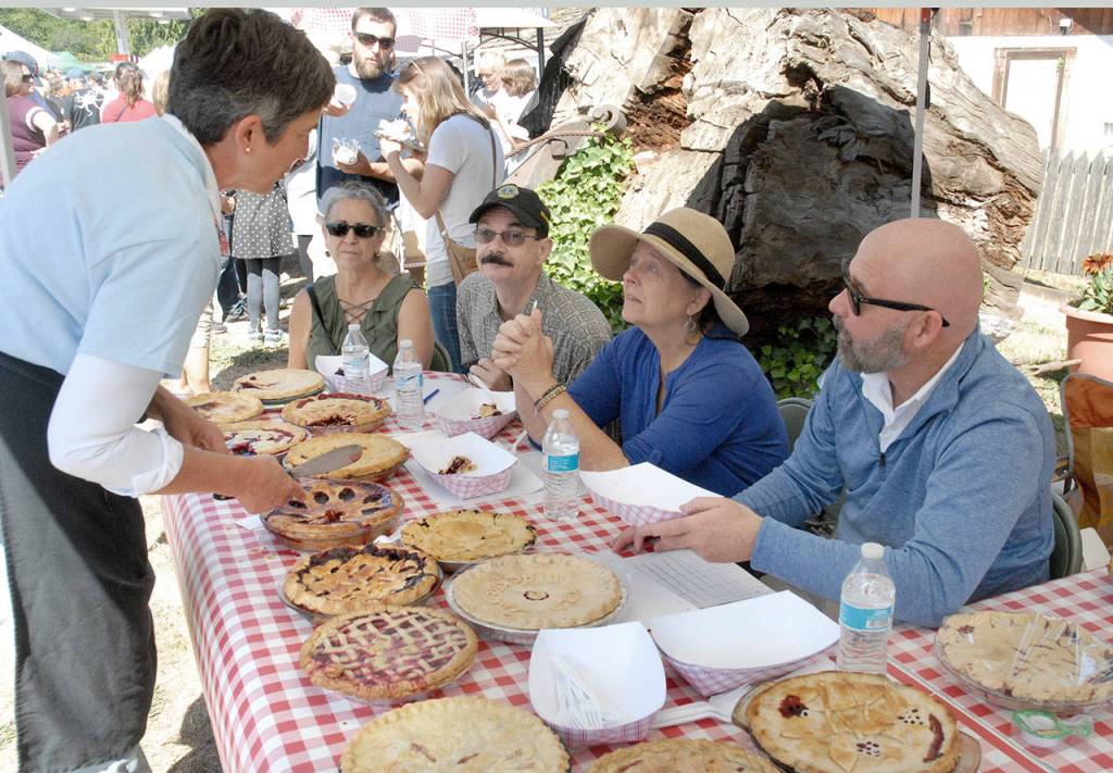 Blackberry pie contest organizer Deb Moriarity, left, briefs pie judges on contest protocols at the Joyce Daze Wild Blackberry Festival. Judging the pies were, seated from left, Blackberry Cafe owner Roxanne Olsen, Clallam County Commissioner Bill Peach, Art of the Pie author Kate McDermott and Peninsula Daily News publisher and Sound Publishing vice president Terry Ward. (Keith Thorpe/Peninsula Daily News)