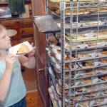 Emmaly Wood of Joyce, 10, arranges slices of blackberry pie for sale to the public during Saturdays Joyce Daze Wild Blackberry Festival in Joyce. The money raised from the sale of hundreds of slices of pie go into a scholarship fund for Crescent School graduating seniors. (Keith Thorpe/Peninsula Daily News)