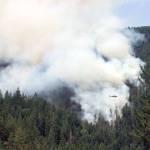 Smoke from the Maple Fire in Mason County billows out from the trees. (State Department of Natural Resources)