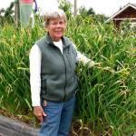 Pam Larsen presents Growing Great Organic Garlic on Thursday.