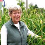 Tips offered for growing organic garlic