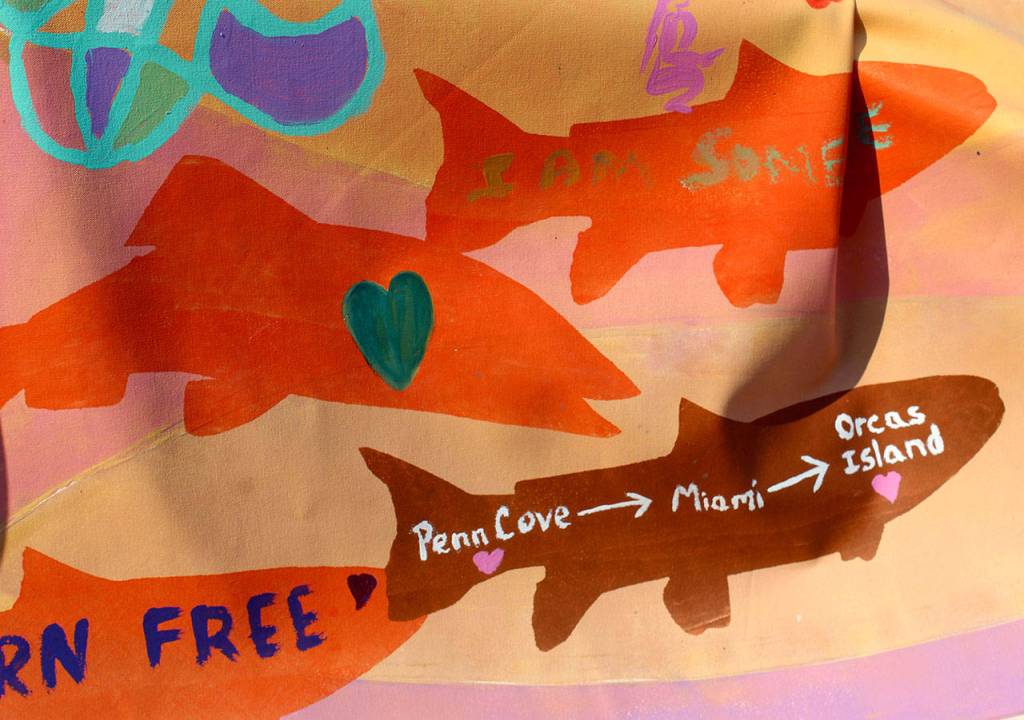 A banner at the Orca Networks Bring Tokitae Home event on Aug. 8 was painted by the Lummi Nation in honor of the orcas captured in Penn Cove in the 1960s and 70s. Tokitae/Lolita, an entertainer at the Miami Seaquarium, is the last surviving orca captured from her pod. (Patricia Guthrie/Whidbey News-Times)
