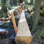 Volunteers with several groups recently installed a foot log near Gold Creek for hikers to better traverse the area. The U.S. Forest Service plans to consider options changing access points to several spots in the Olympic National Forest, including moving and expanding Gold Creeks trailhead.
