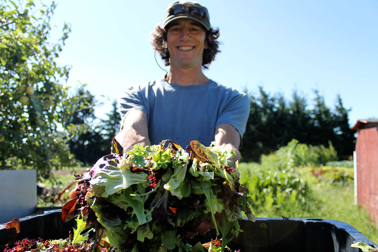 Scott Chichester, owner and farmer of Chis Farm in Sequim, is among the local farmers that help make the annual Harvest Dinners happen. (Alana Linderoth/North Olympic Land Trust)