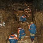 Fossil shows mixture of humankind’s early cousins