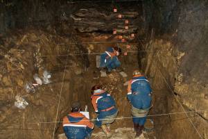 Fossil shows mixture of humankind’s early cousins