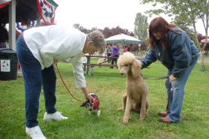 Sequim Dog Park party set for Saturday