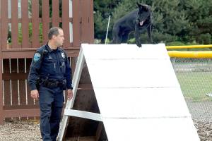 PHOTO: Sequim dog park celebrates its anniversary
