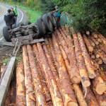 Log truck spills load on Highway 112 west of Joyce