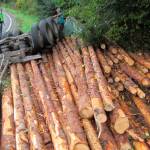 A log truck overturned on state Highway 112 west of Joyce on Friday, closing the road for more than four hours. (Washington State Patrol)