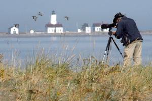 PHOTO: Birding on Dungeness Bay