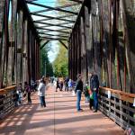 This years Dungeness River Festival continues today. (Matthew Nash/Olympic Peninsula News Group)