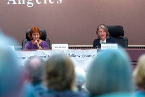 RVs, bed and breakfasts topics in Department of Community Development forum