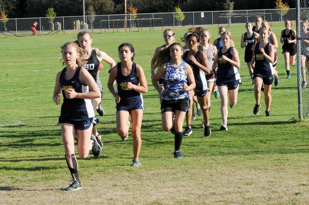 The Forks womens cross country team took first place in this Evergreen 1A meet held in Hoquiam Thursday afternoon. Spartans pictured here at the start from front are Madelyn Archibald who placed first, Karen Ensastegui who placed fifth, Melissa Galindo who placed sixth, Savannah Meyer who placed 17th and Kayleen Bailey who placed 15th. (Lonnie Archibald/for Peninsula Daily News)