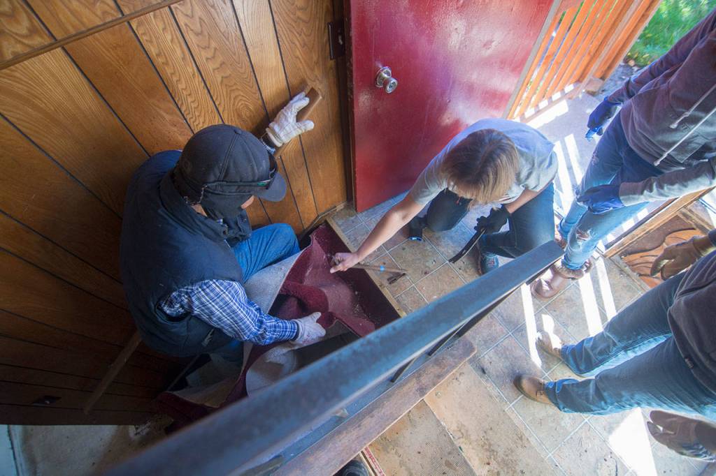 Ron Breitbac and Kelly Sanders remove carpet from the house on Saturday. (Jesse Major/Peninsula Daily News)