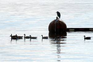 PHOTO: Taking a break