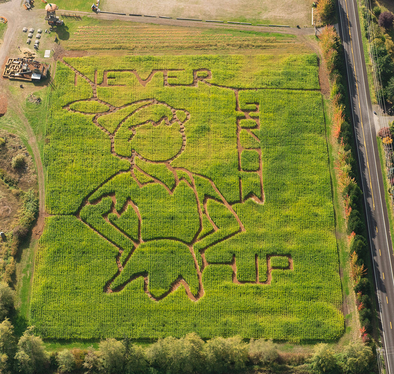The Pumpkin Patch features the theme Never Grow Up this year. It opens daily from noon to 6 p.m. through Oct. 31. (Dave Woodcock)