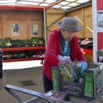 Police investigate thefts at Sequim Food Bank
