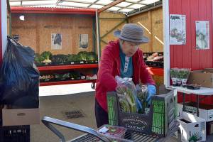Police investigate thefts at Sequim Food Bank