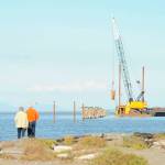 Nearby residents of Three Crabs Road and passersby watch as pilings are removed from the old Dungeness wharf. (Erin Hawkins/Olympic Peninsula News Group)