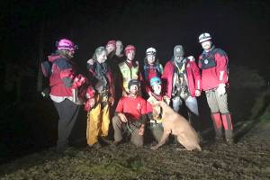 Dog safely rescued from bluff near Port Angeles