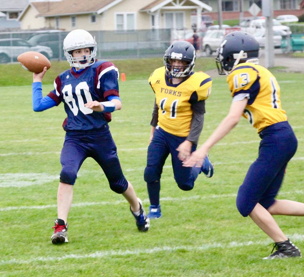 AREA SPORTS BRIEFS: Sequim Wolf Pack teams in youth football title games; Forks beats Stevens in middle school finale