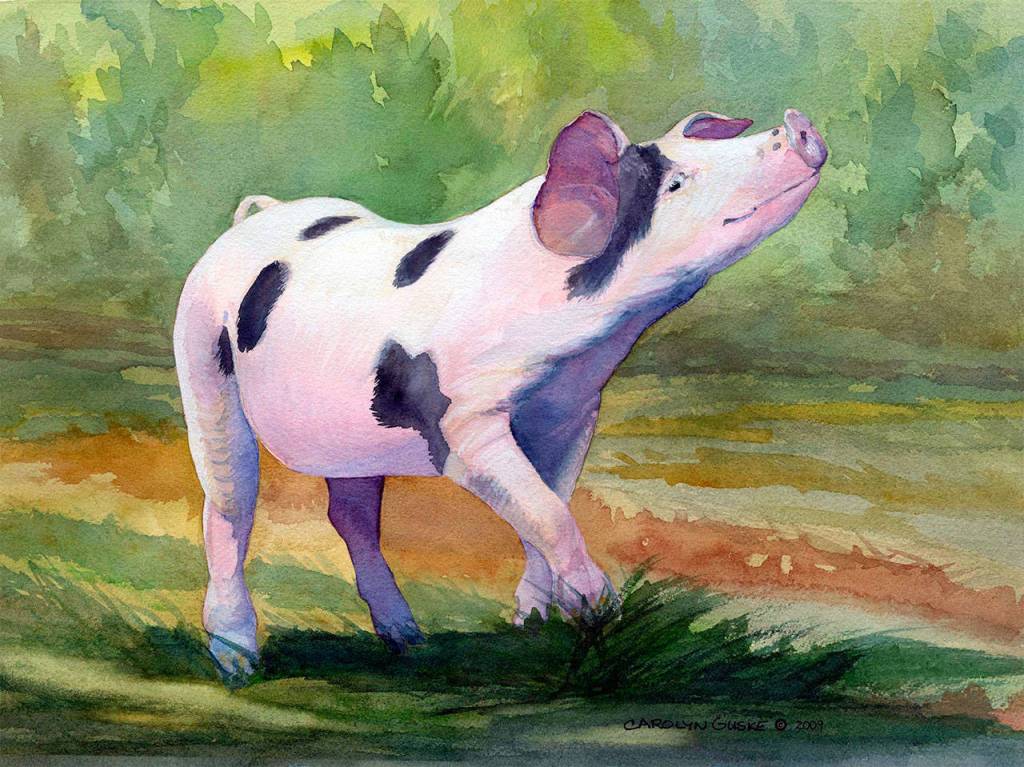 Carolyn Guske, Sequim artist and teacher, will display her animal paintings at Studio Bobs beginning Saturday.