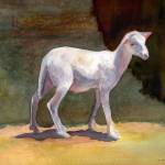 Carolyn Guske, Sequim artist and teacher, will display her animal paintings at Studio Bobs beginning Saturday