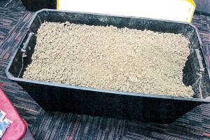 Marijuana producer in Port Angeles accused of selling on black market