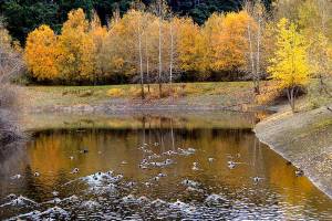 PHOTO: Fall colors remain at Port Angeles park