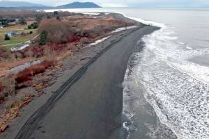 Beach restoration: Limited access provided for area east of the Elwha River mouth
