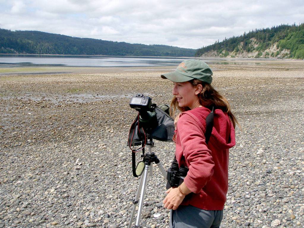 Heather Gordon, field biologist for Northwest Watershed Institute, observes eagles with camera and spotting scope at Dabob Bay. (Peter Bahls)