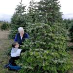 Annalis Schutzmann and her granddaughter, Annalise Davis, 13, both of Sequim, cut their own Christmas tree at Lazy J Tree Farm east of Port Angeles. (Keith Thorpe/Peninsula Daily News)