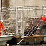 Congress approves bill making it easier to kill sea lions