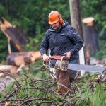 Assessing the damage: Port Angeles, others to start adding up costs of wind storm