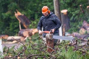 Assessing the damage: Port Angeles, others to start adding up costs of wind storm