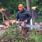 Connor Heilman, a member of the Dry Creek Grange on Edgewood Drive, on Sunday uses a chainsaw to clear debris that fell during Fridays storm. (Jesse Major/Peninsula Daily News)